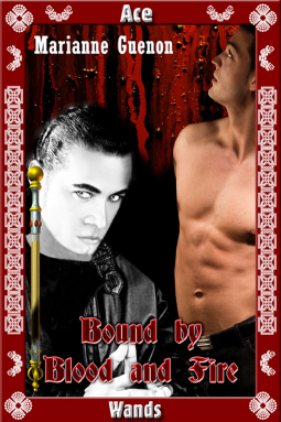 book cover for Bound by Blood and Fire