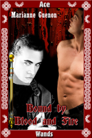 book cover for Bound by Blood and Fire