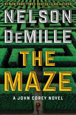 book cover for The Maze