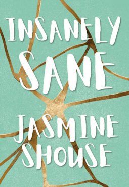book cover for Insanely Sane