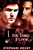 book cover for The Third Floor