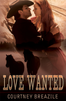 book cover for Love Wanted