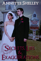 book cover for Secrets, Lies and Exaggerations