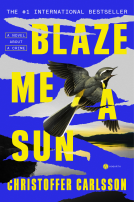 book cover for Blaze Me a Sun
