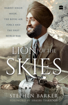 book cover for Lion of the Skies