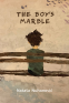 Cover Image: The Boy's Marble