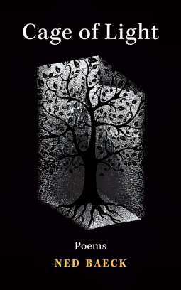 book cover for Cage of Light