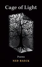 book cover for Cage of Light