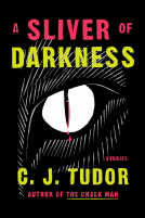 book cover for A Sliver of Darkness