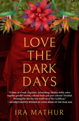 book cover for Love the Dark Days