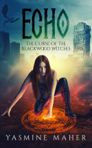 book cover for Echo