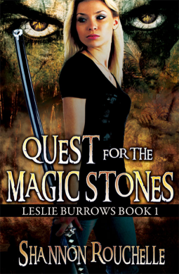 book cover for Quest for the Magic Stones