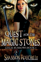 book cover for Quest for the Magic Stones