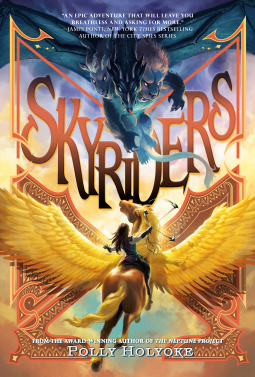 book cover for Skyriders