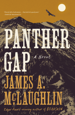 book cover for Panther Gap