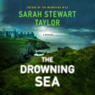 book cover for The Drowning Sea