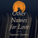 book cover for Other Names for Love