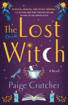 book cover for The Lost Witch