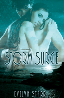 book cover for Storm Surge