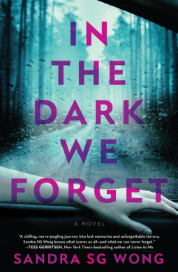 book cover for In the Dark We Forget