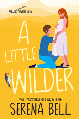book cover for A Little Wilder