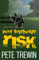 book cover for Not Without Risk