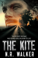 book cover for The Kite