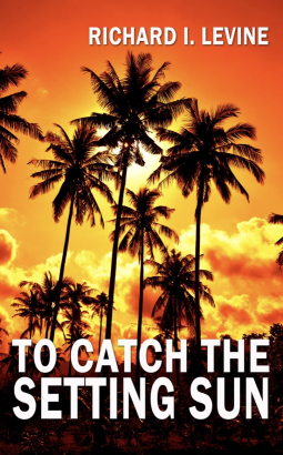 book cover for To Catch The Setting Sun