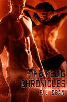 book cover for The Felig Chronicles