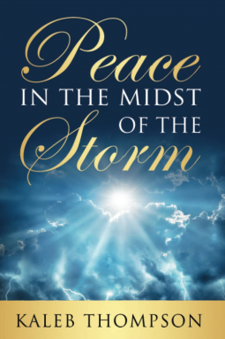 book cover for Peace in the Midst of the Storm
