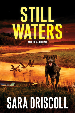 book cover for Still Waters