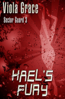 book cover for Hael's Fury