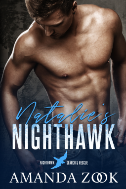 book cover for Natalie's Nighthawk