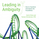 book cover for Leading in Ambiguity
