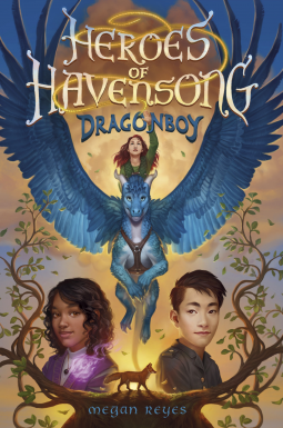 book cover for Heroes of Havensong: Dragonboy
