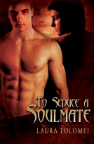 book cover for To Seduce a Soulmate