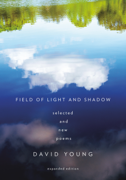 book cover for Field of Light and Shadow