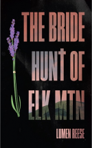 book cover for The Bride Hunt of Elk Mountain