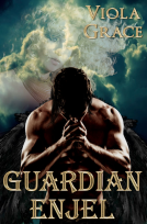 book cover for Guardian Enjel