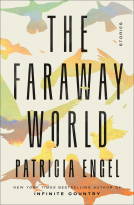 book cover for The Faraway World