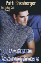 book cover for Candid Seductions