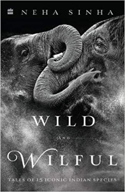 book cover for Wild And Wilful