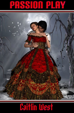 book cover for Passion Play