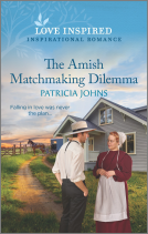 book cover for The Amish Matchmaking Dilemma