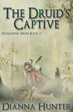 book cover for The Druid's Captive