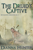 book cover for The Druid's Captive