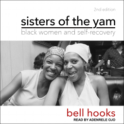 book cover for Sisters of the Yam