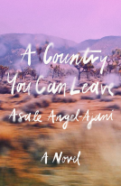 book cover for A Country You Can Leave
