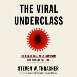 book cover for The Viral Underclass