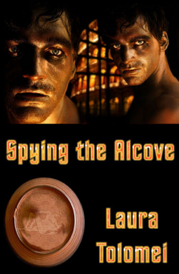 book cover for Spying the Alcove